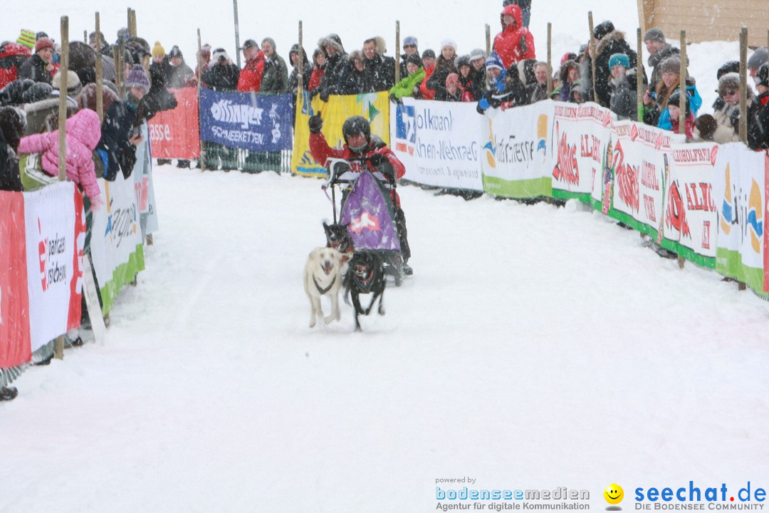 Schlittenhunderennen: Todtmoos im Schwarzwald, 24.02.2013