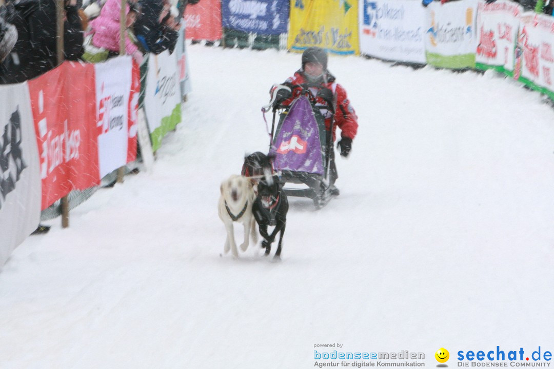 Schlittenhunderennen: Todtmoos im Schwarzwald, 24.02.2013