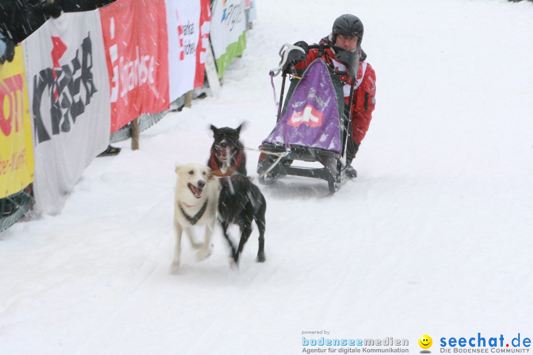 Schlittenhunderennen: Todtmoos im Schwarzwald, 24.02.2013