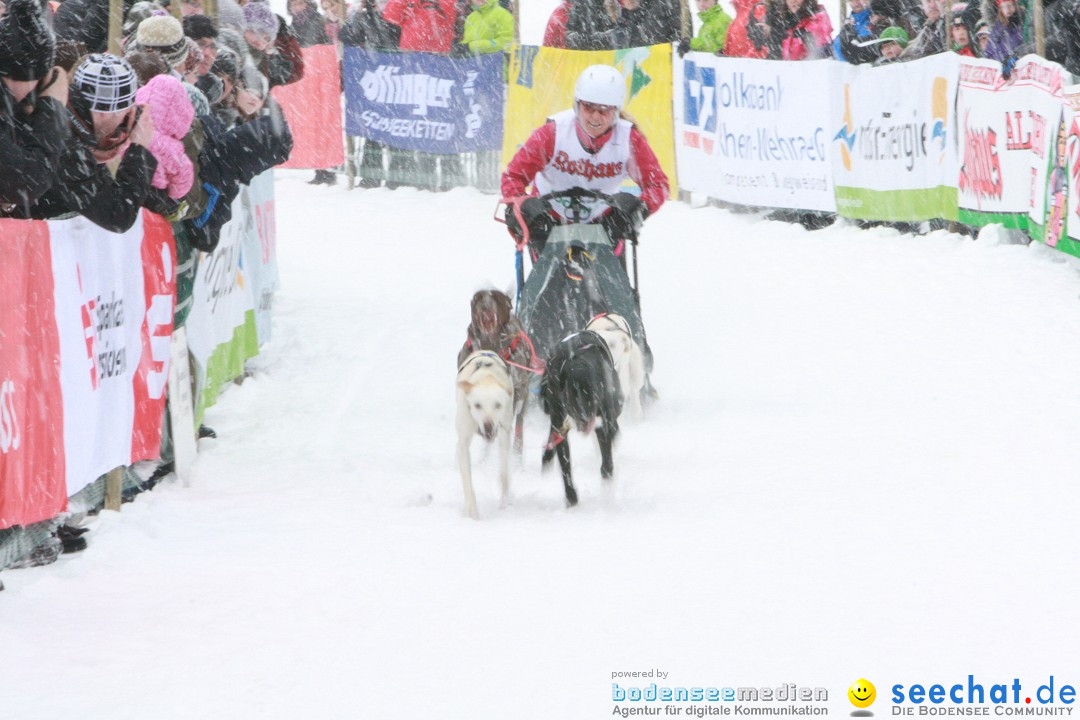 Schlittenhunderennen: Todtmoos im Schwarzwald, 24.02.2013