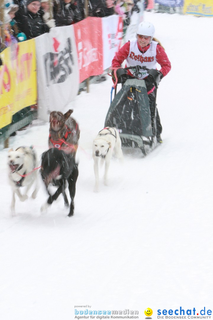 Schlittenhunderennen: Todtmoos im Schwarzwald, 24.02.2013