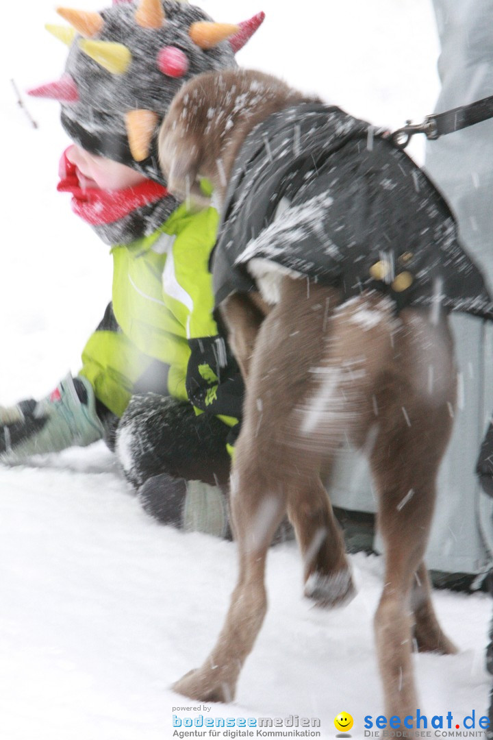 Schlittenhunderennen: Todtmoos im Schwarzwald, 24.02.2013