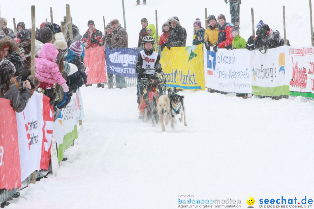 Schlittenhunderennen: Todtmoos im Schwarzwald, 24.02.2013