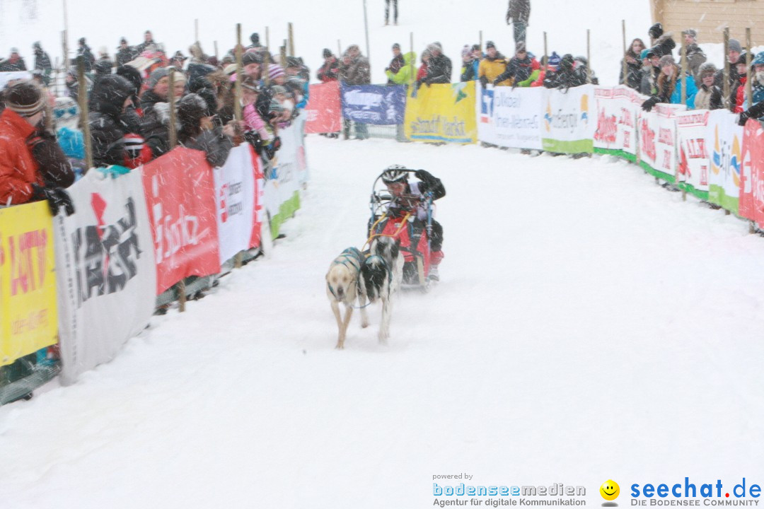 Schlittenhunderennen: Todtmoos im Schwarzwald, 24.02.2013