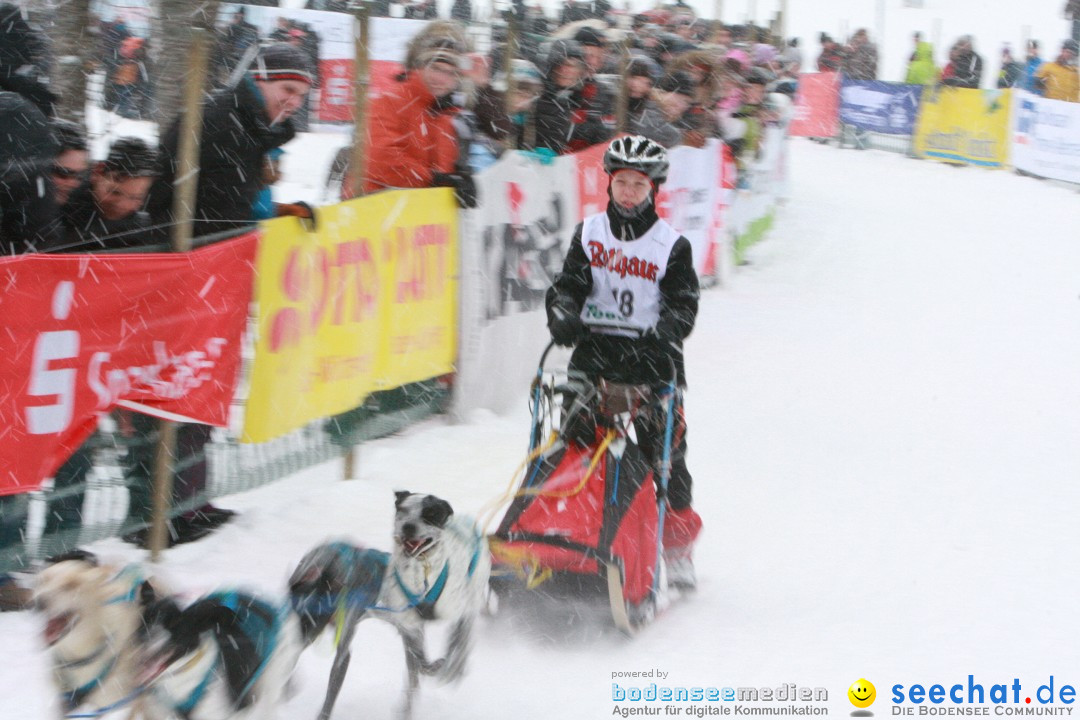 Schlittenhunderennen: Todtmoos im Schwarzwald, 24.02.2013