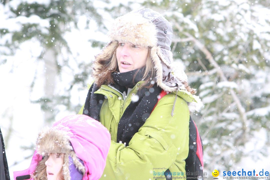 Schlittenhunderennen: Todtmoos im Schwarzwald, 24.02.2013