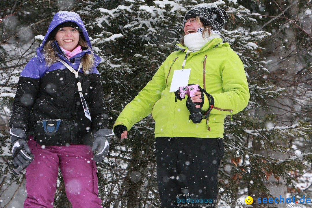 Schlittenhunderennen: Todtmoos im Schwarzwald, 24.02.2013