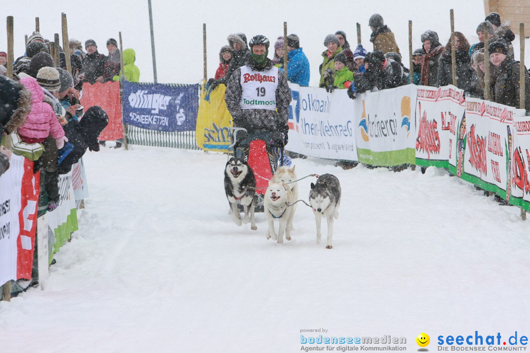 Schlittenhunderennen: Todtmoos im Schwarzwald, 24.02.2013