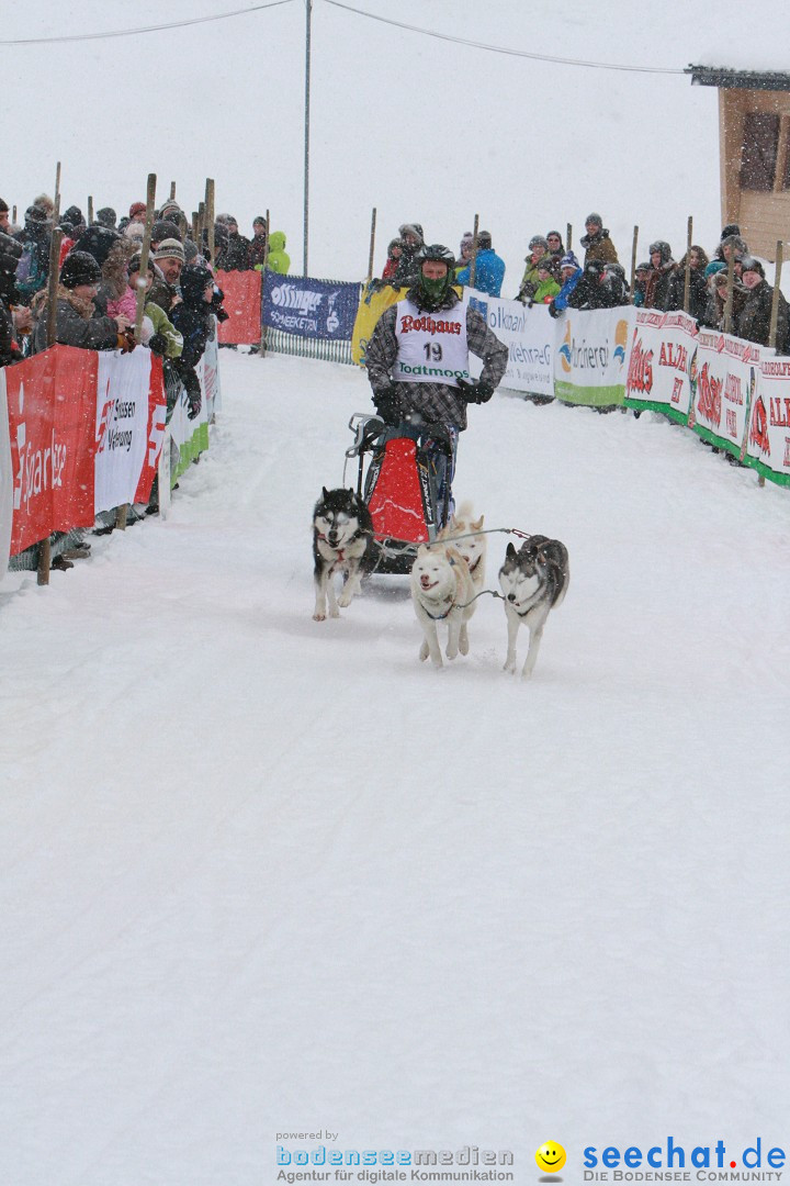 Schlittenhunderennen: Todtmoos im Schwarzwald, 24.02.2013