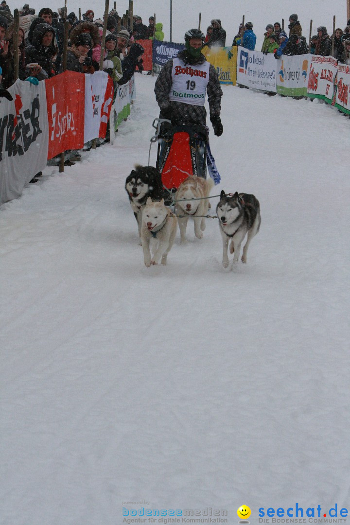 Schlittenhunderennen: Todtmoos im Schwarzwald, 24.02.2013