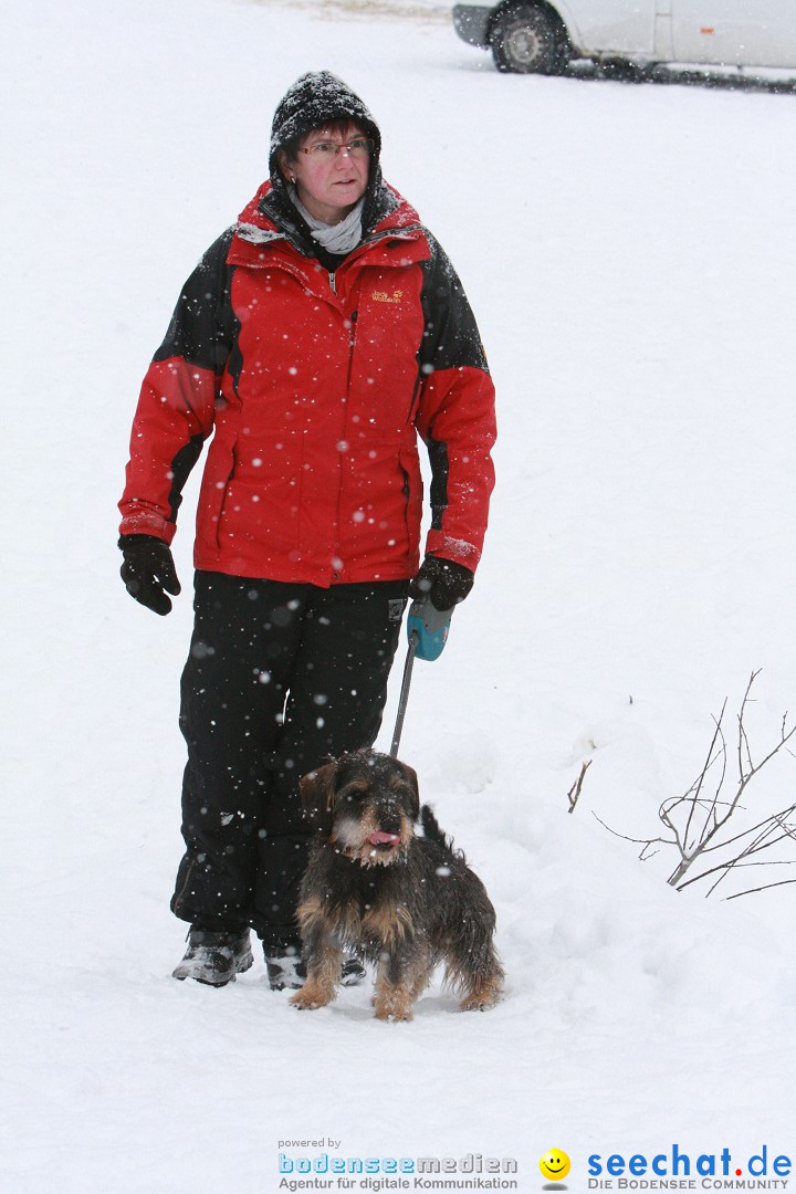 Schlittenhunderennen: Todtmoos im Schwarzwald, 24.02.2013