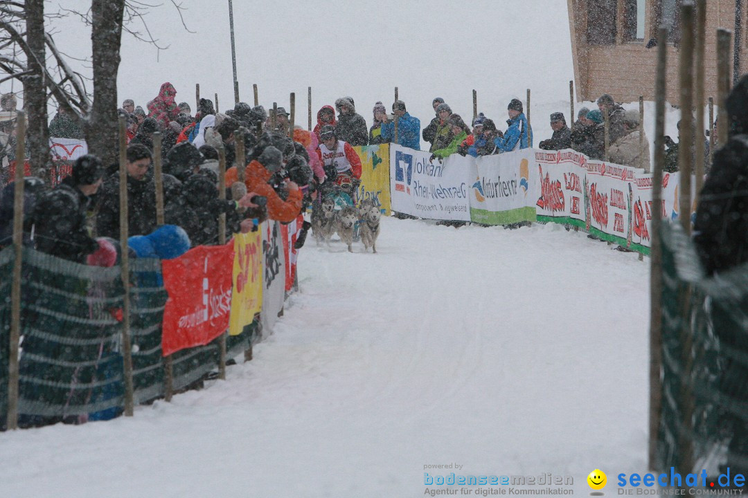 Schlittenhunderennen: Todtmoos im Schwarzwald, 24.02.2013