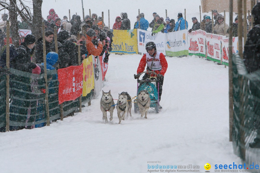 Schlittenhunderennen: Todtmoos im Schwarzwald, 24.02.2013