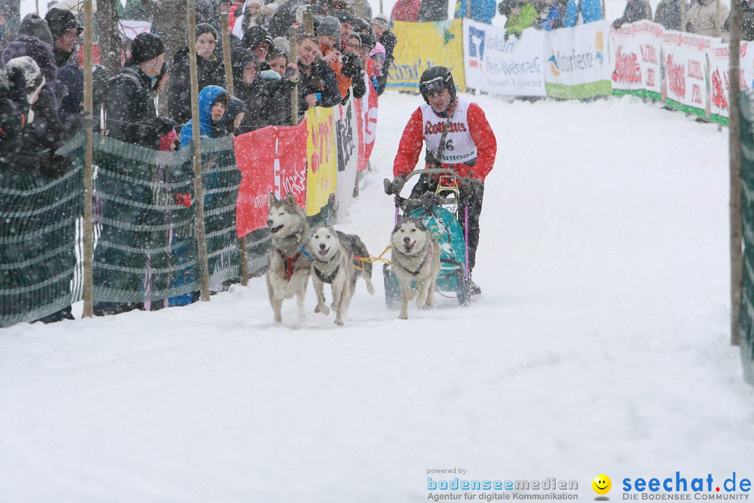 Schlittenhunderennen: Todtmoos im Schwarzwald, 24.02.2013