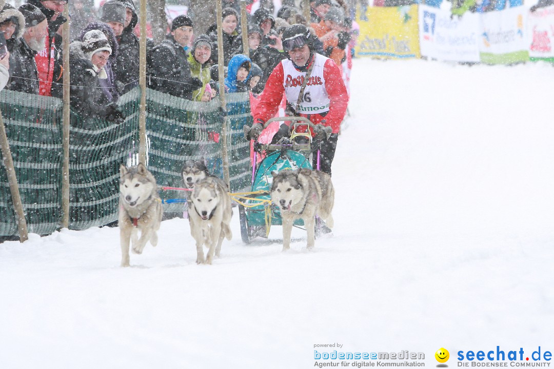 Schlittenhunderennen: Todtmoos im Schwarzwald, 24.02.2013