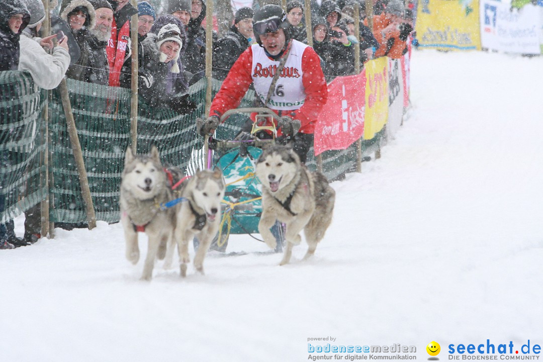 Schlittenhunderennen: Todtmoos im Schwarzwald, 24.02.2013