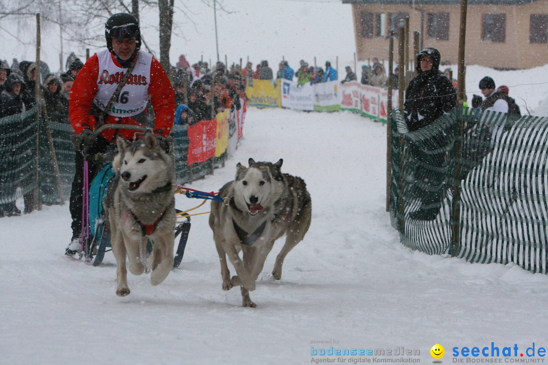 Schlittenhunderennen: Todtmoos im Schwarzwald, 24.02.2013