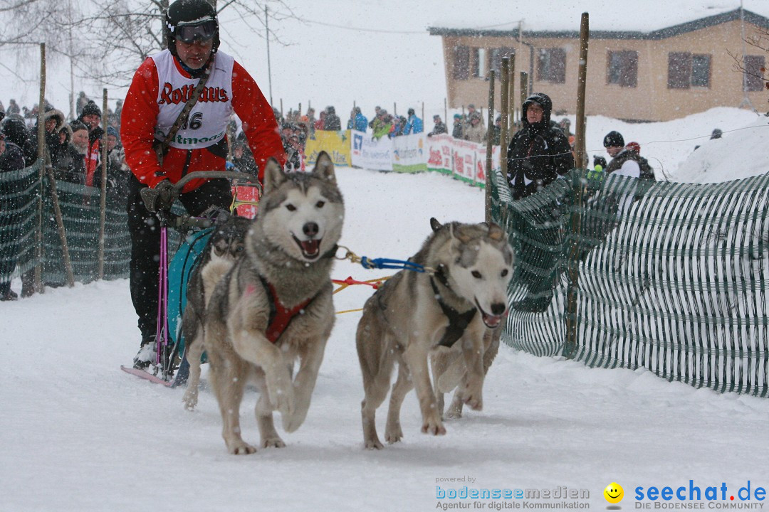 Schlittenhunderennen: Todtmoos im Schwarzwald, 24.02.2013