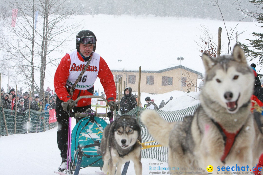 Schlittenhunderennen: Todtmoos im Schwarzwald, 24.02.2013