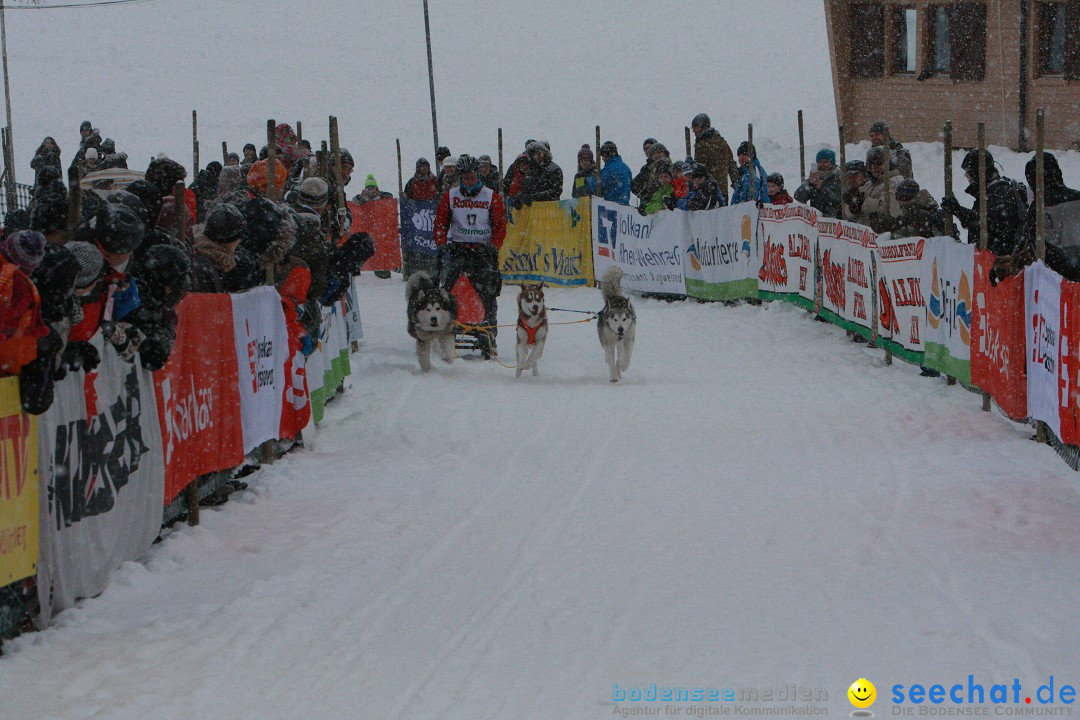 Schlittenhunderennen: Todtmoos im Schwarzwald, 24.02.2013