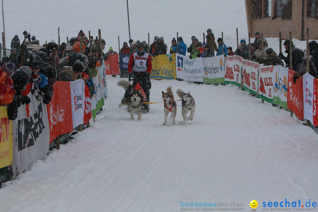 Schlittenhunderennen: Todtmoos im Schwarzwald, 24.02.2013