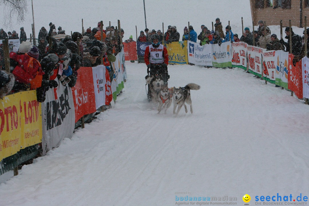 Schlittenhunderennen: Todtmoos im Schwarzwald, 24.02.2013