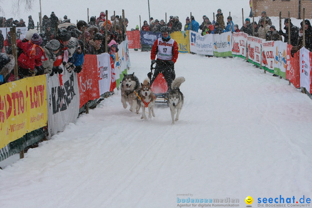 Schlittenhunderennen: Todtmoos im Schwarzwald, 24.02.2013