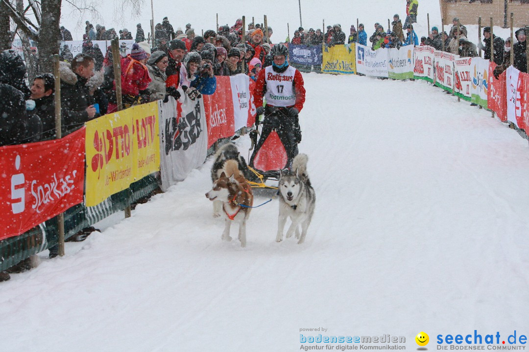 Schlittenhunderennen: Todtmoos im Schwarzwald, 24.02.2013