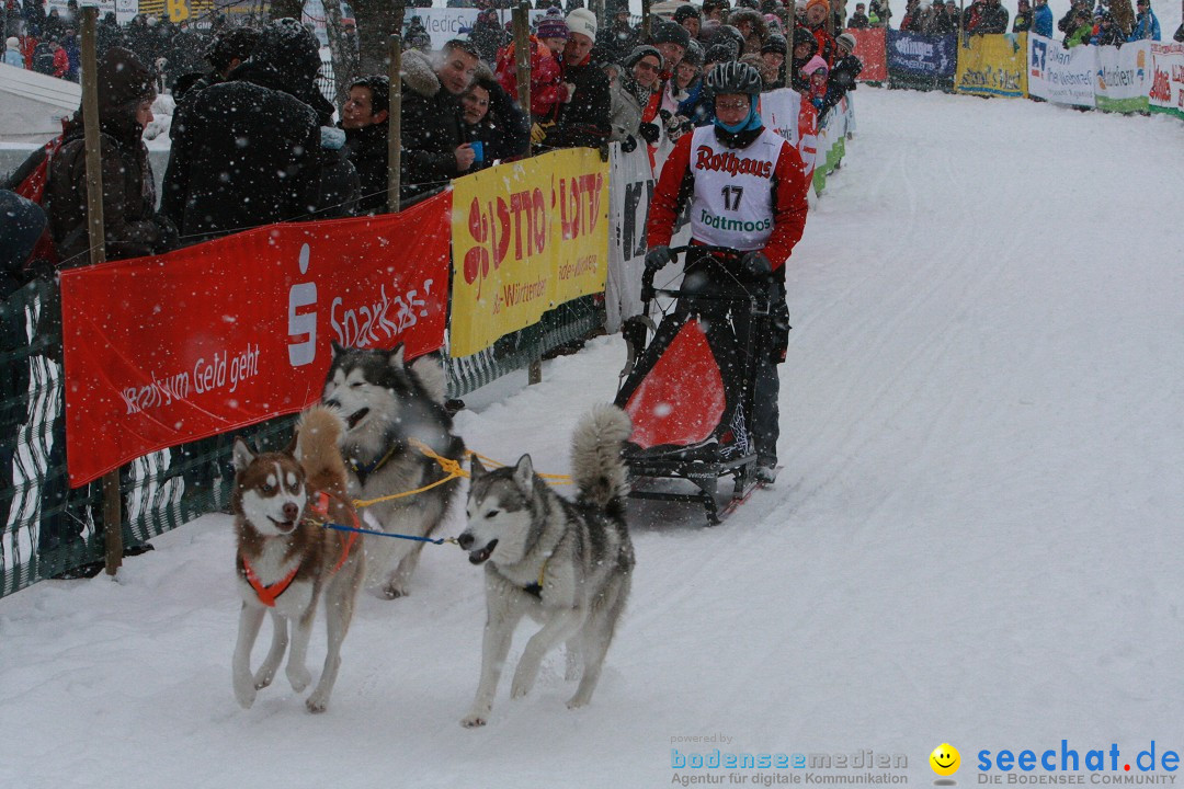 Schlittenhunderennen: Todtmoos im Schwarzwald, 24.02.2013