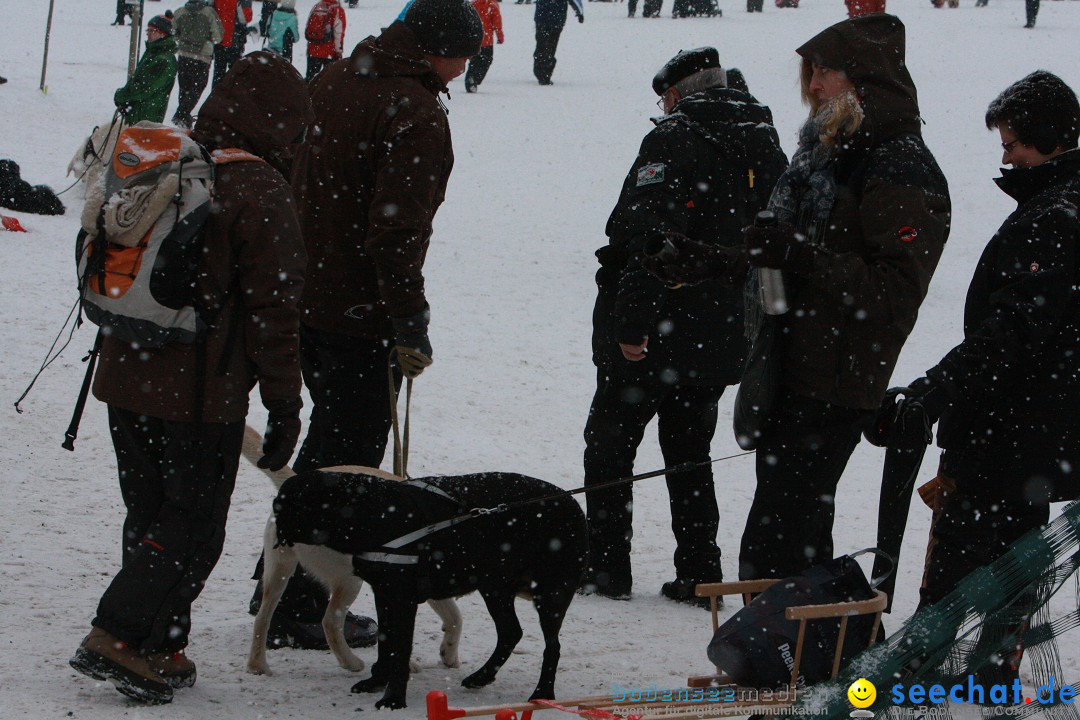 Schlittenhunderennen: Todtmoos im Schwarzwald, 24.02.2013