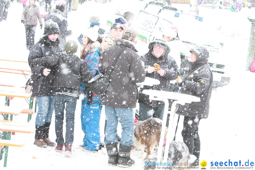 Schlittenhunderennen: Todtmoos im Schwarzwald, 24.02.2013