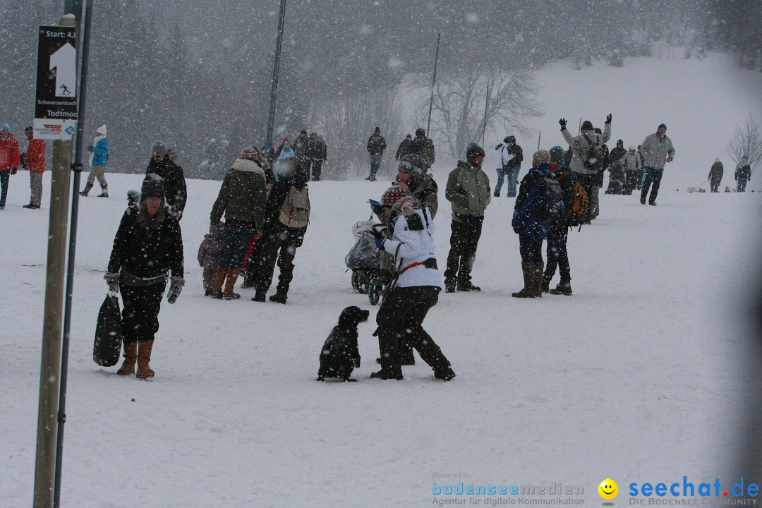 Schlittenhunderennen: Todtmoos im Schwarzwald, 24.02.2013