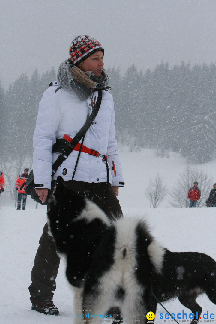 Schlittenhunderennen: Todtmoos im Schwarzwald, 24.02.2013