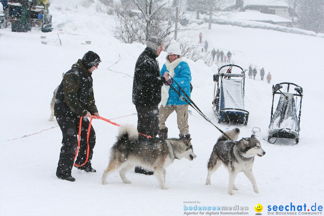 Schlittenhunderennen: Todtmoos im Schwarzwald, 24.02.2013