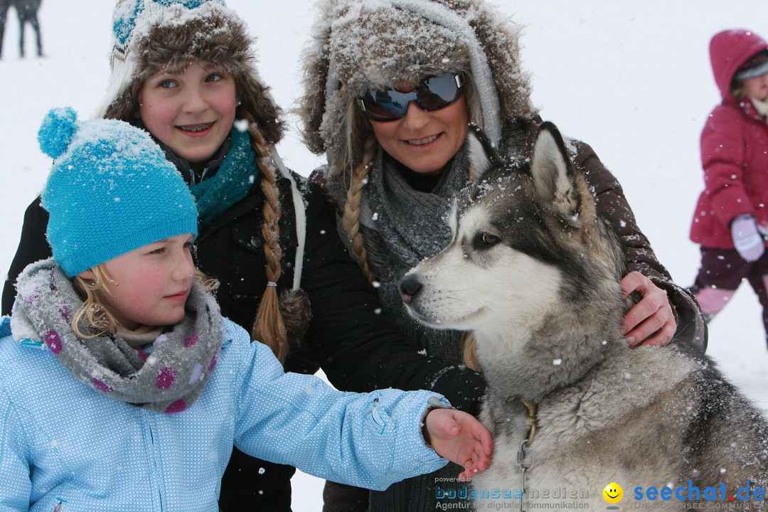 Schlittenhunderennen: Todtmoos im Schwarzwald, 24.02.2013