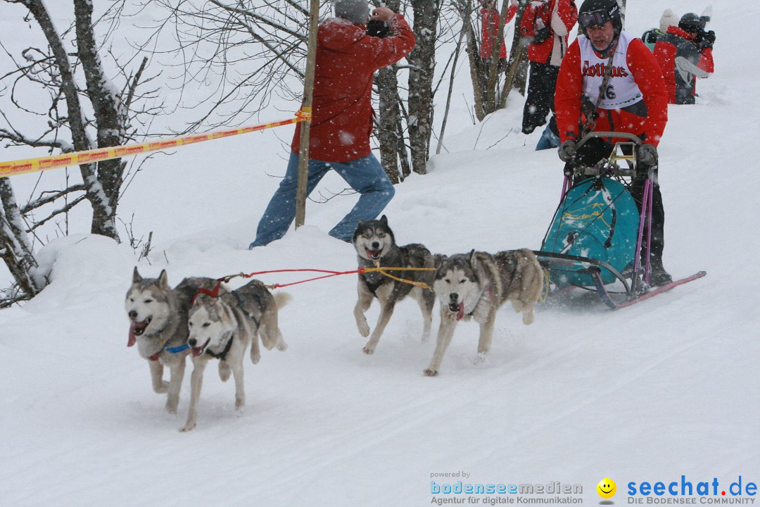 Schlittenhunderennen: Todtmoos im Schwarzwald, 24.02.2013