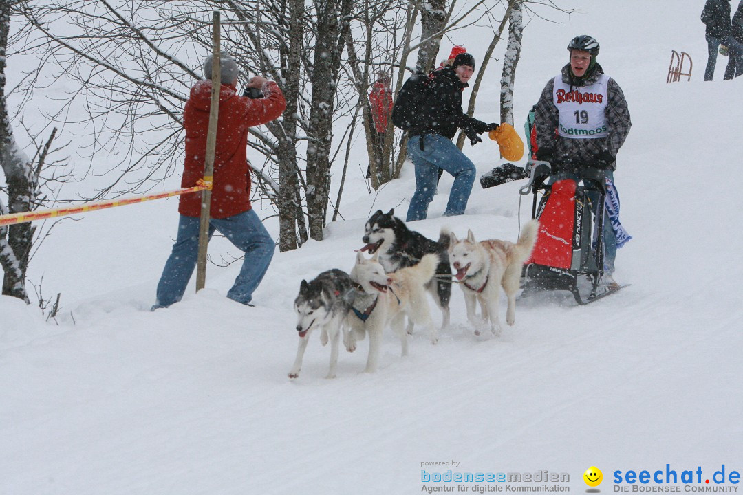 Schlittenhunderennen: Todtmoos im Schwarzwald, 24.02.2013