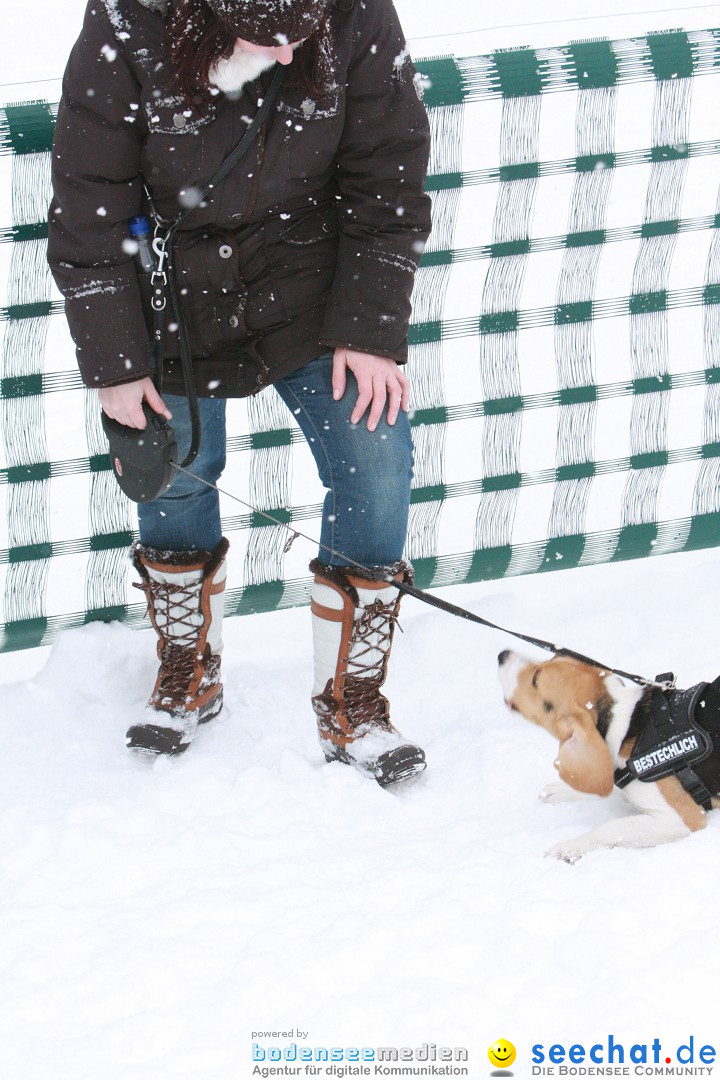 Schlittenhunderennen: Todtmoos im Schwarzwald, 24.02.2013