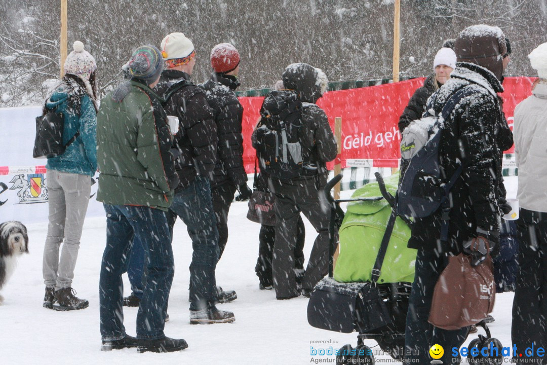 Schlittenhunderennen: Todtmoos im Schwarzwald, 24.02.2013