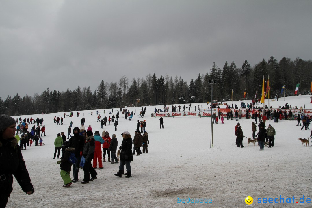 Schlittenhunderennen: Todtmoos im Schwarzwald, 24.02.2013