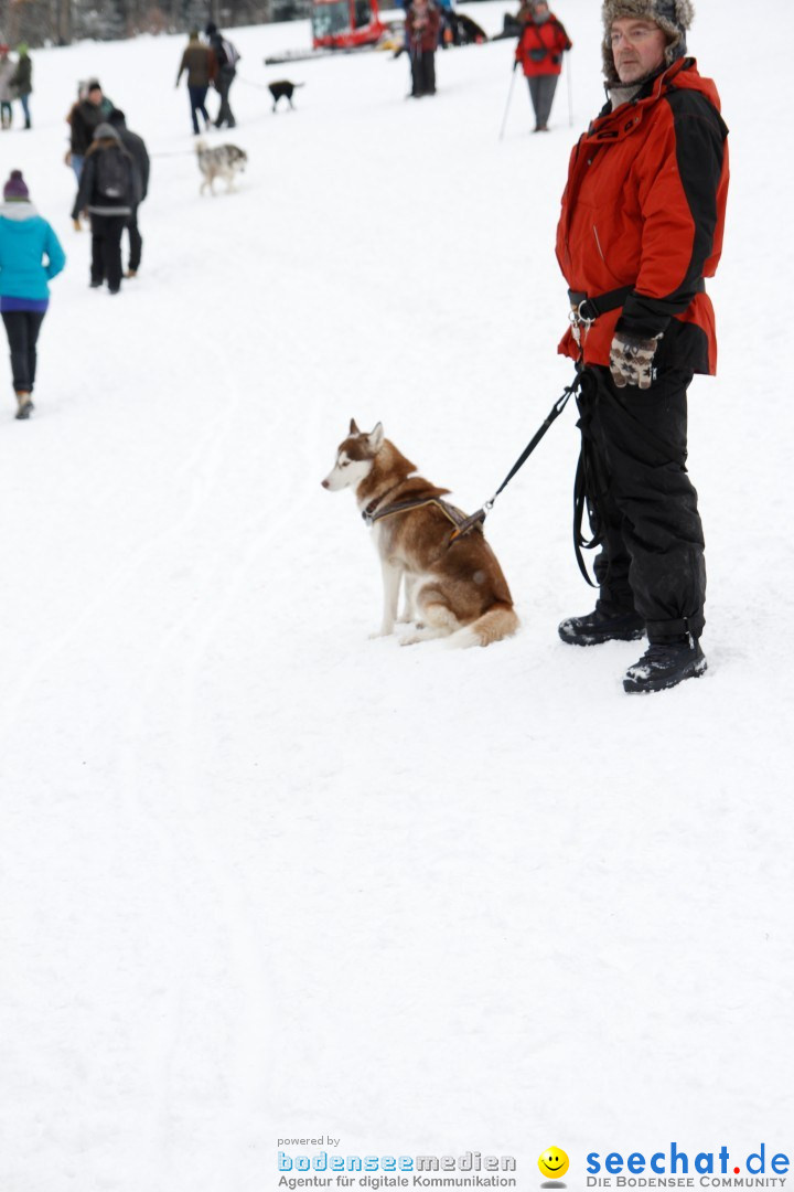 Schlittenhunderennen: Todtmoos im Schwarzwald, 24.02.2013