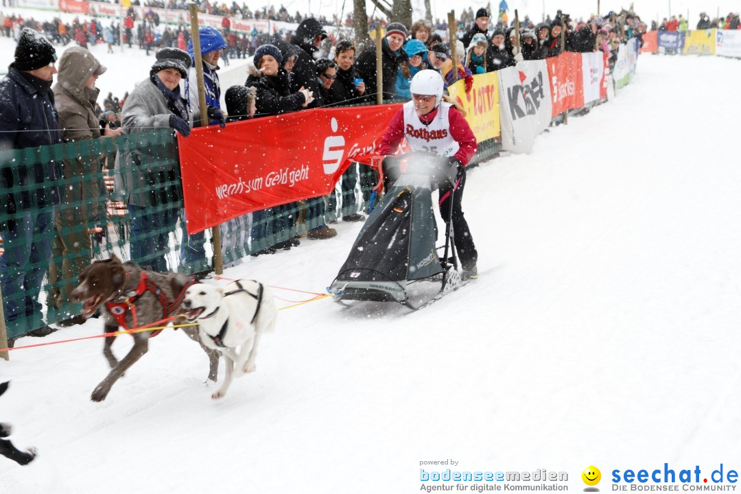 Schlittenhunderennen: Todtmoos im Schwarzwald, 24.02.2013