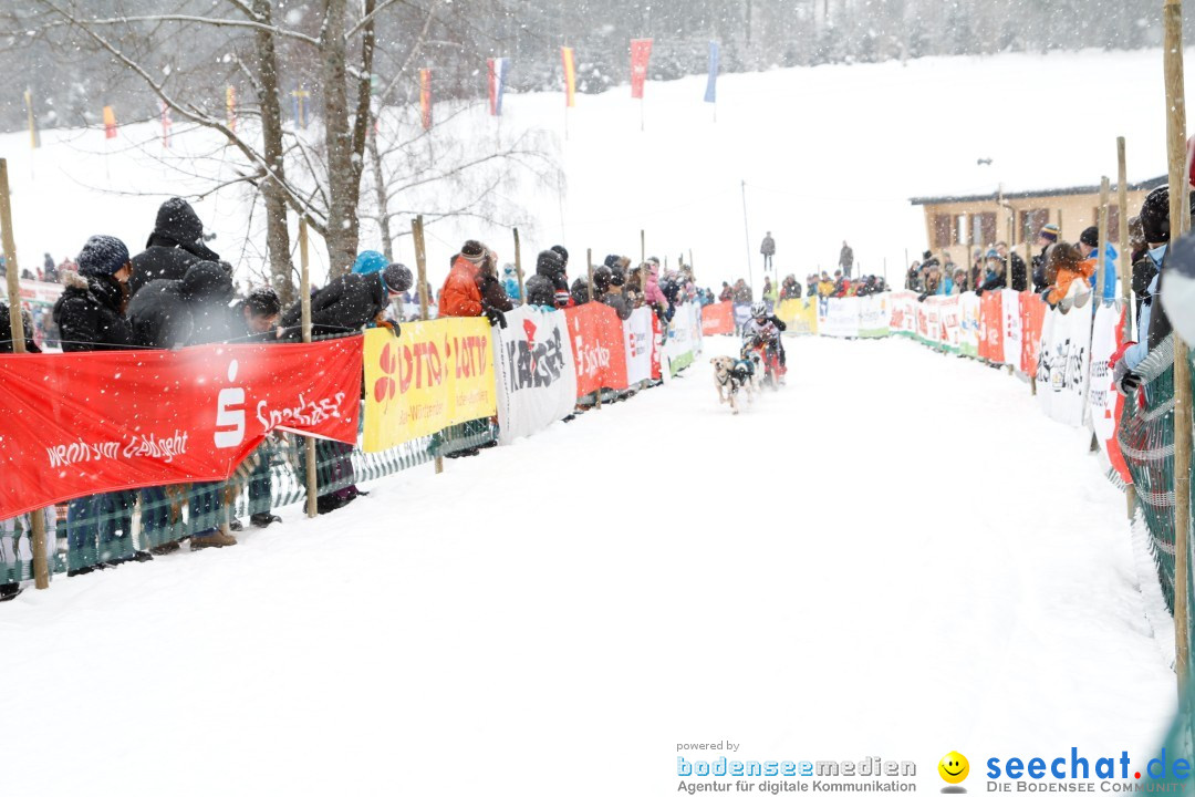 Schlittenhunderennen: Todtmoos im Schwarzwald, 24.02.2013