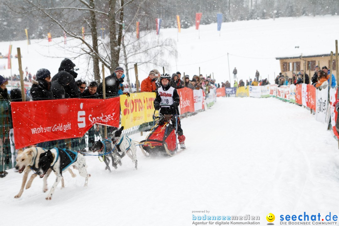 Schlittenhunderennen: Todtmoos im Schwarzwald, 24.02.2013