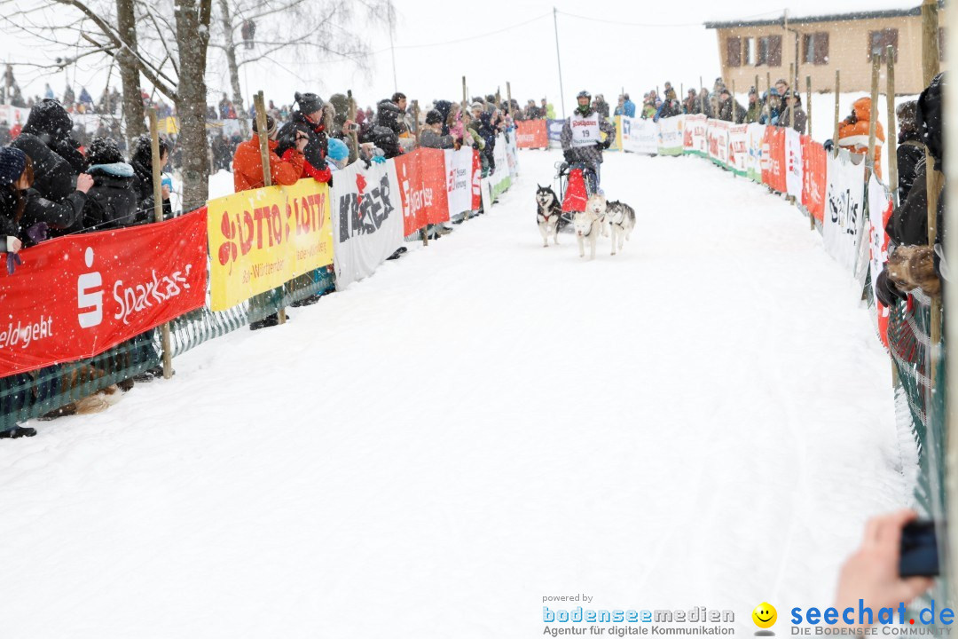 Schlittenhunderennen: Todtmoos im Schwarzwald, 24.02.2013