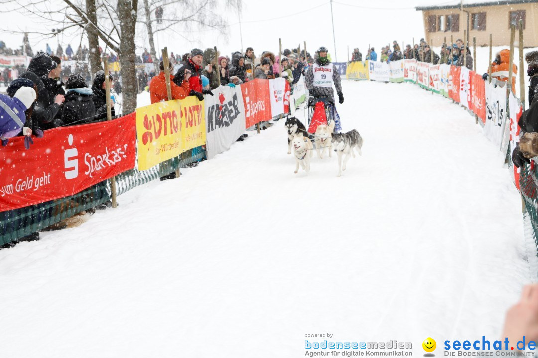 Schlittenhunderennen: Todtmoos im Schwarzwald, 24.02.2013