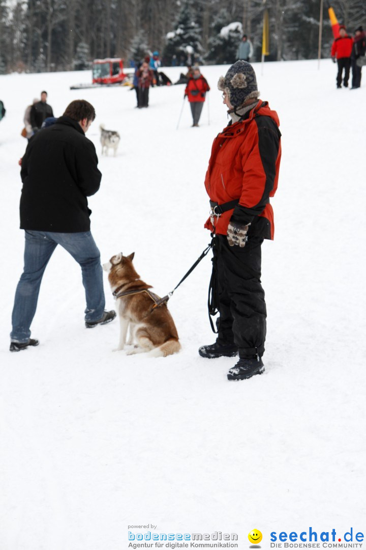 Schlittenhunderennen: Todtmoos im Schwarzwald, 24.02.2013