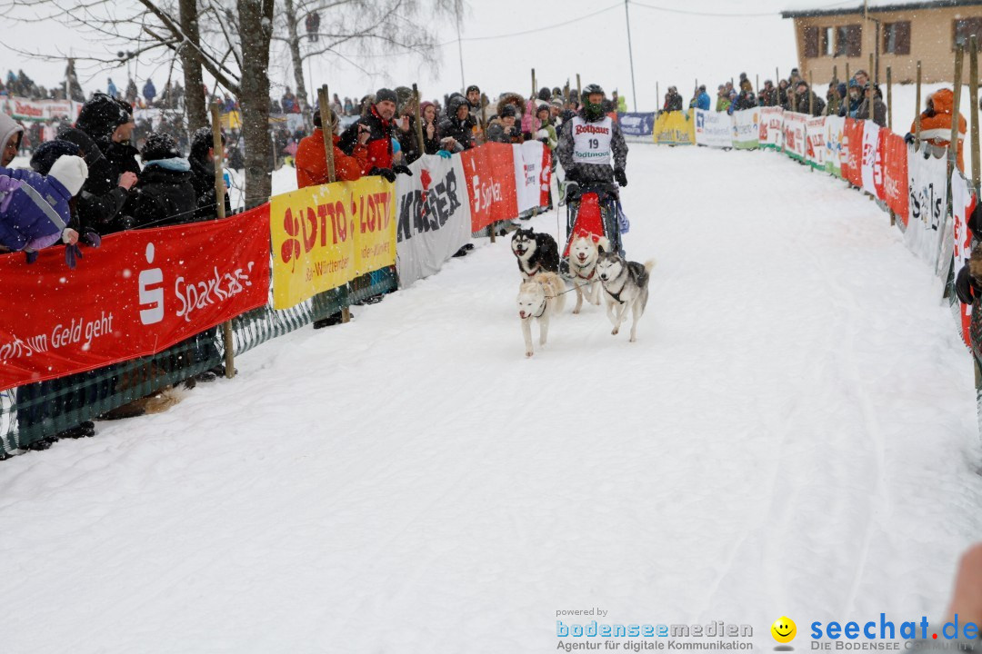 Schlittenhunderennen: Todtmoos im Schwarzwald, 24.02.2013