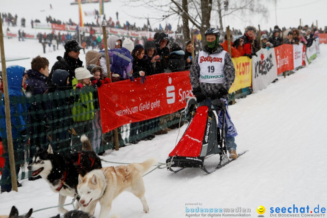 Schlittenhunderennen: Todtmoos im Schwarzwald, 24.02.2013