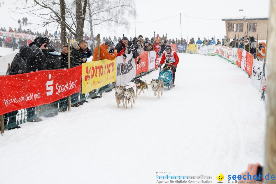 Schlittenhunderennen: Todtmoos im Schwarzwald, 24.02.2013